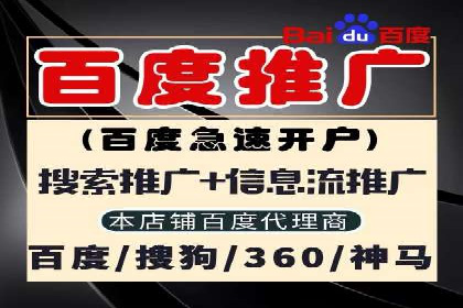 sem代运营机构经典案例：提升广告投放效果